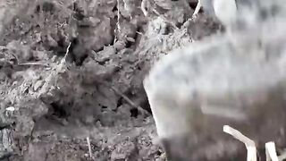 Surival bushcraft survival outdoors