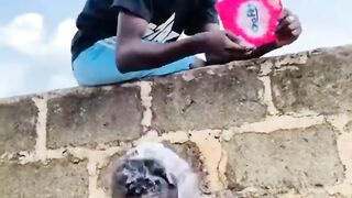 Do you all like this video?