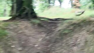 Nature et bois