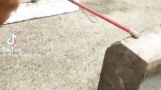 tiktoks that actually made me laugh PART 3