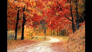 Romantic Soft and Relexing music
