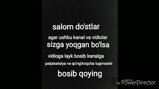 prikoli