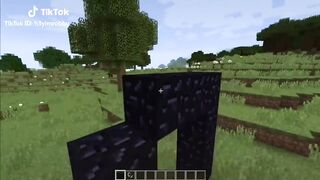 TikTok Minecraft Compilation 5!