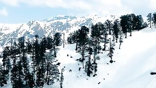 Snow falls