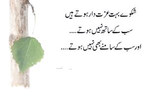 Shikway