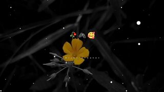 Romtic mood