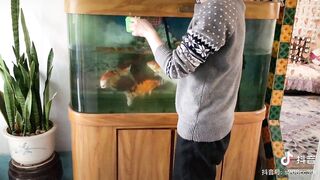 Funny Pet Animals Viral Clips????|| Best #funny Cats #shorts ????|| #trending #animals #reels