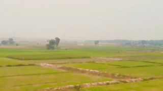 Aireal wieve of my hometown