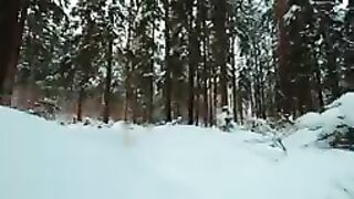 Snow forest