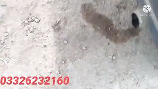 How to Check Suzuki Mehran Carburetor Faults in Urdu Hindi | Carburetor Diagnostics
