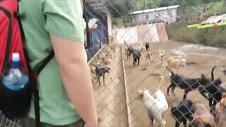 Territorio de Zaguates "Land of The Strays" Dog Rescue Ranch Sanctuary in Costa Rica