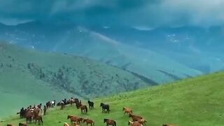 Tilawat e Quran 19