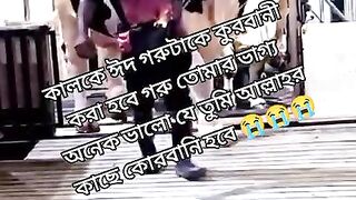 বিশালাকার বউ