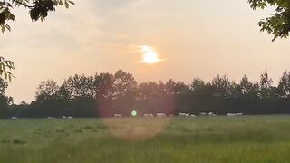 Pretty sunset