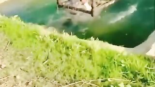 Funny video