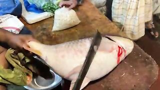 Naice fish cating