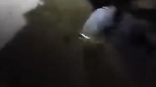 এ কেমন বরবরতা