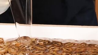 New cooking 2