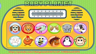 Animal voice