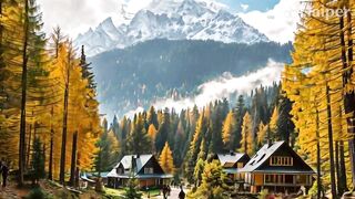 Forest changing to city
