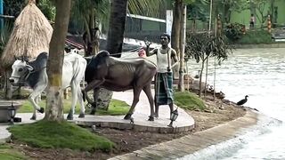 AI village