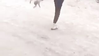 funny video 575