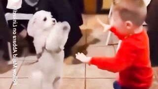 Funny videos 615
