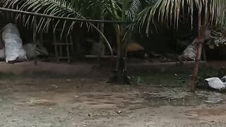 My house tour...