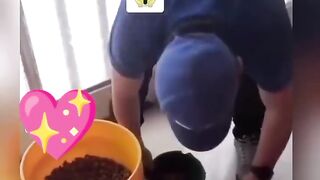 Siempre Dar Gracias al Todopoderoso