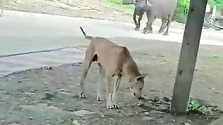 Aaj Kuch tufani karte hai