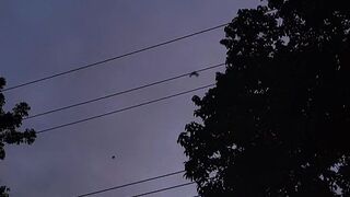 Beauty of nature ????