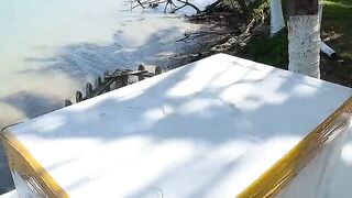 World best Big See Fish