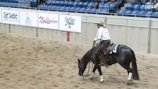 Jesse Lennox Cutting Horses marking a HUGE 228! Riding