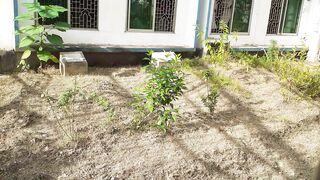 দেলোয়ার হোসেন সাইদির কবরস্থান