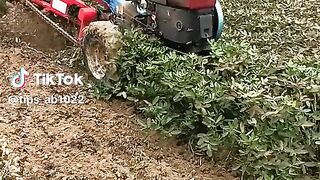 How to harvest crop