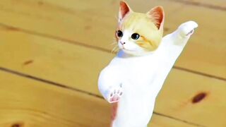 Cute cat dance ????