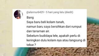 Cara persiapan KOLAM TANAH untuk budidaya ikan lele