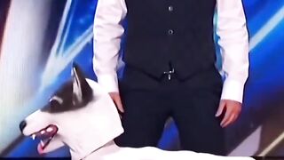 funny video short video
