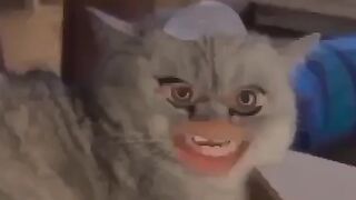 Funny video