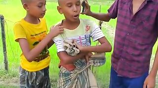 Fani vedo
