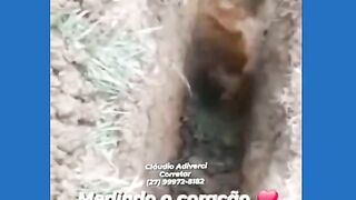 Funy video 55