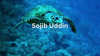 Underwater World 2