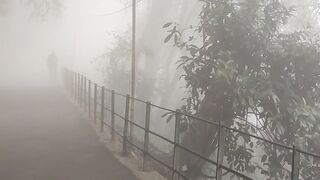 Foggy Weather