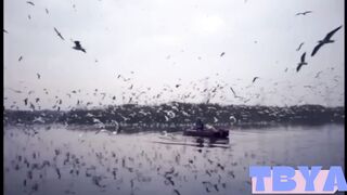 Feel The Nature 2