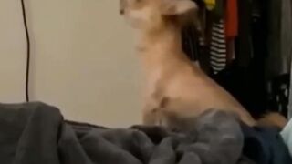 New Funny Video 2024 2