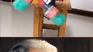 The game of Physics