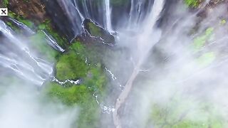 How Revolutionary Tech is Saving Rainforests