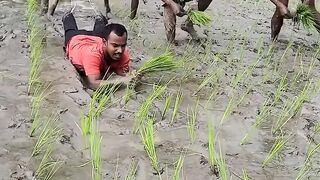 এটা কোন দেশের হতে পারে