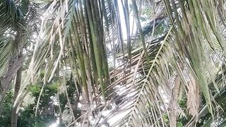 My house nature