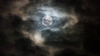 রক্তপিসাচের আর্তনাদ